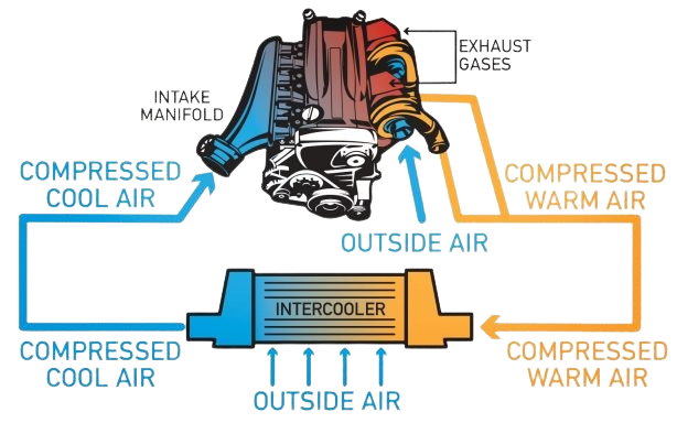 Ultimate Guide to Silicone Radiator Hoses, Coolant Hoses & Heater Hose ...